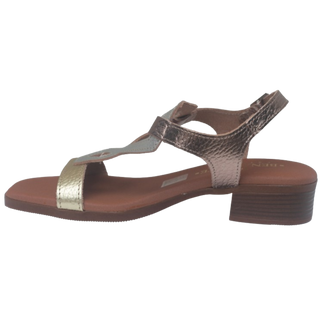 MUJER M 5345 CATHERINE DOYA CAVA COMBI